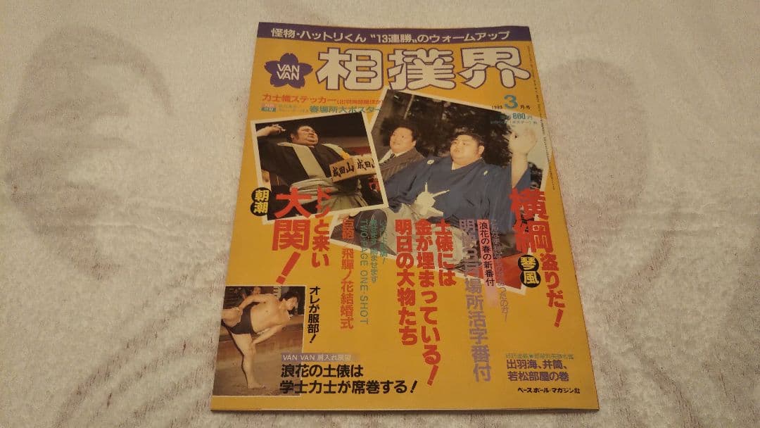 VANVAN相撲界 27冊セット まとめ売り 美品 希少 大相撲 昭和
