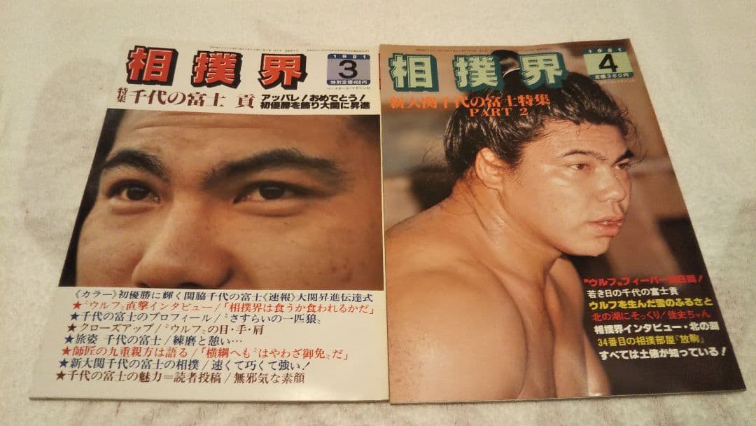 VANVAN相撲界 27冊セット まとめ売り 美品 希少 大相撲 昭和
