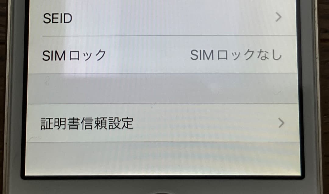 美品! MP842J/A iPhone SE Gold 32GB イヤホン