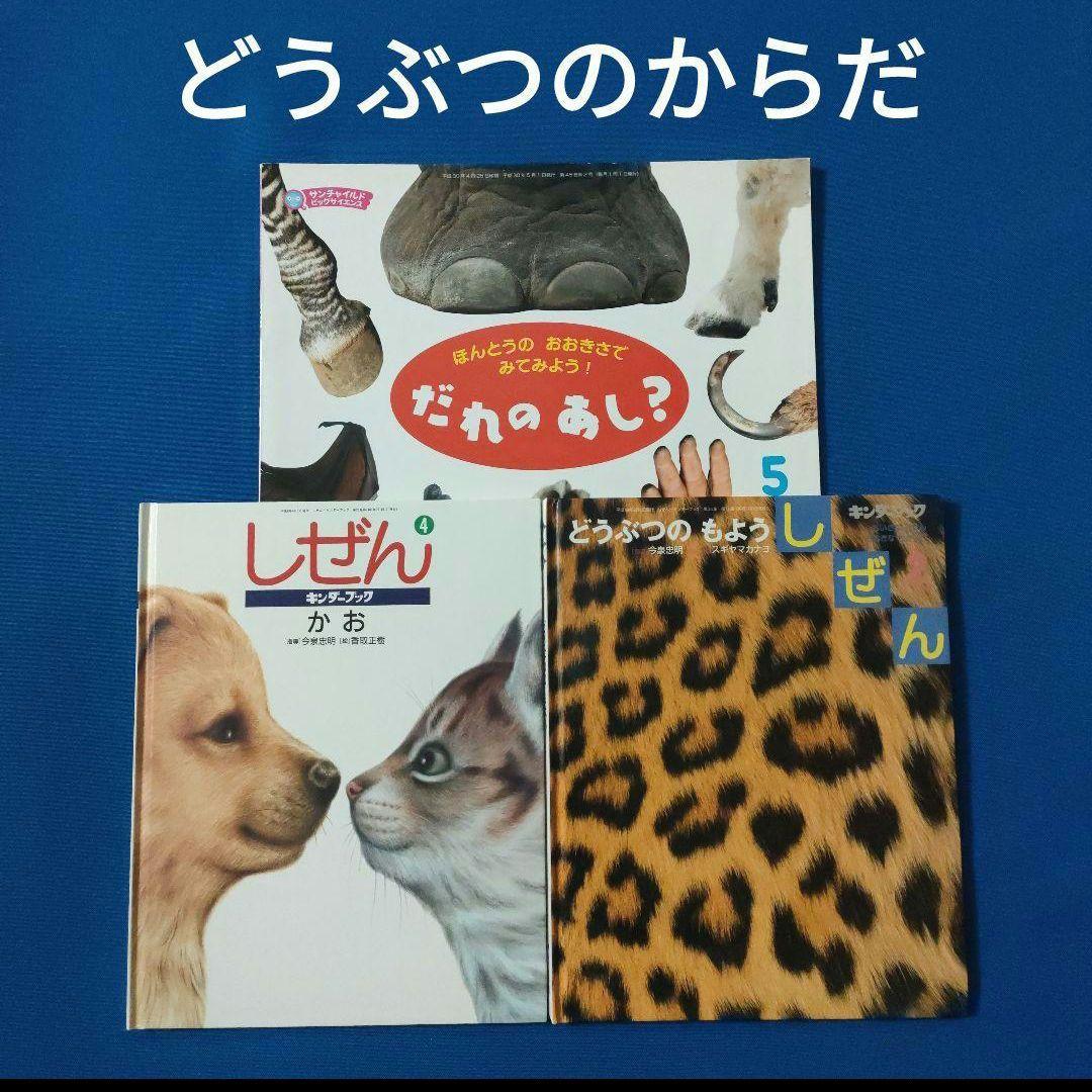 ビッグサイエンス　キンダーブックしぜん　どうぶつのからだ　あし　かお　もよう
