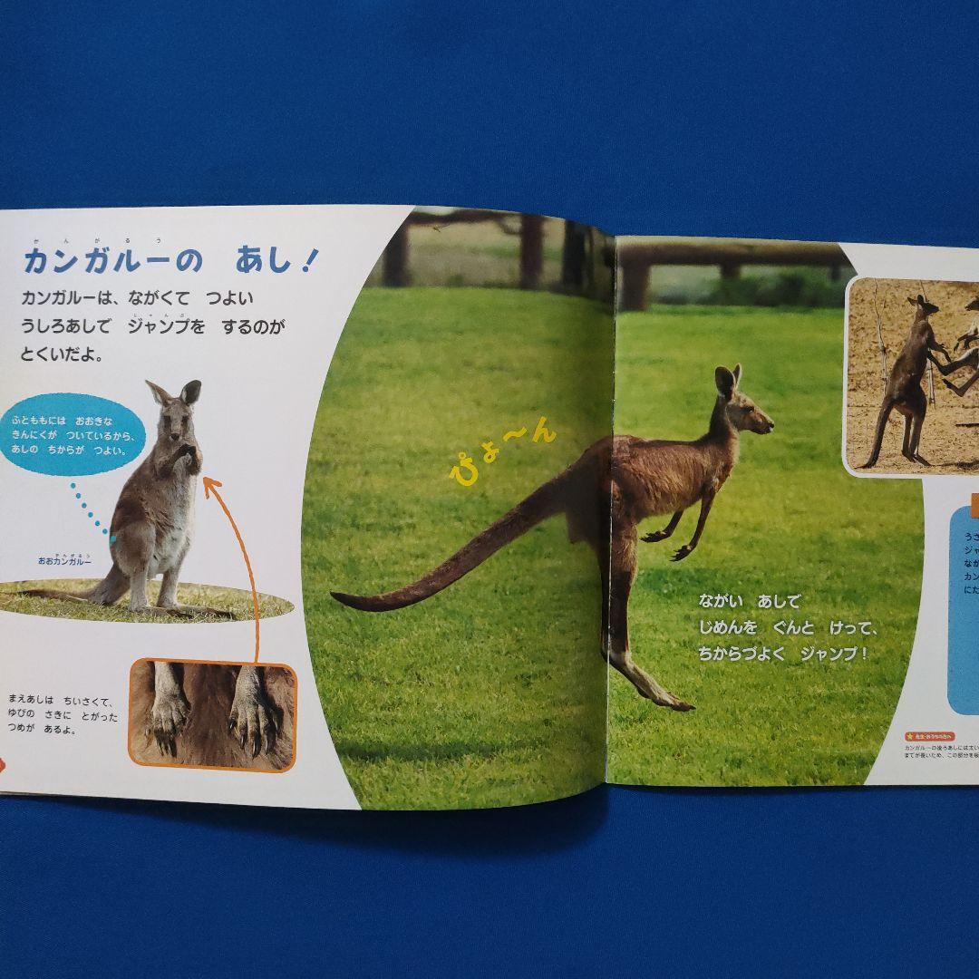 ビッグサイエンス　キンダーブックしぜん　どうぶつのからだ　あし　かお　もよう