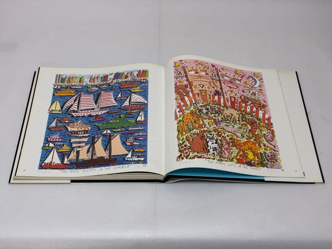 JAMES RIZZI ジェームス・リジィ 作品集 画集 アート イラスト