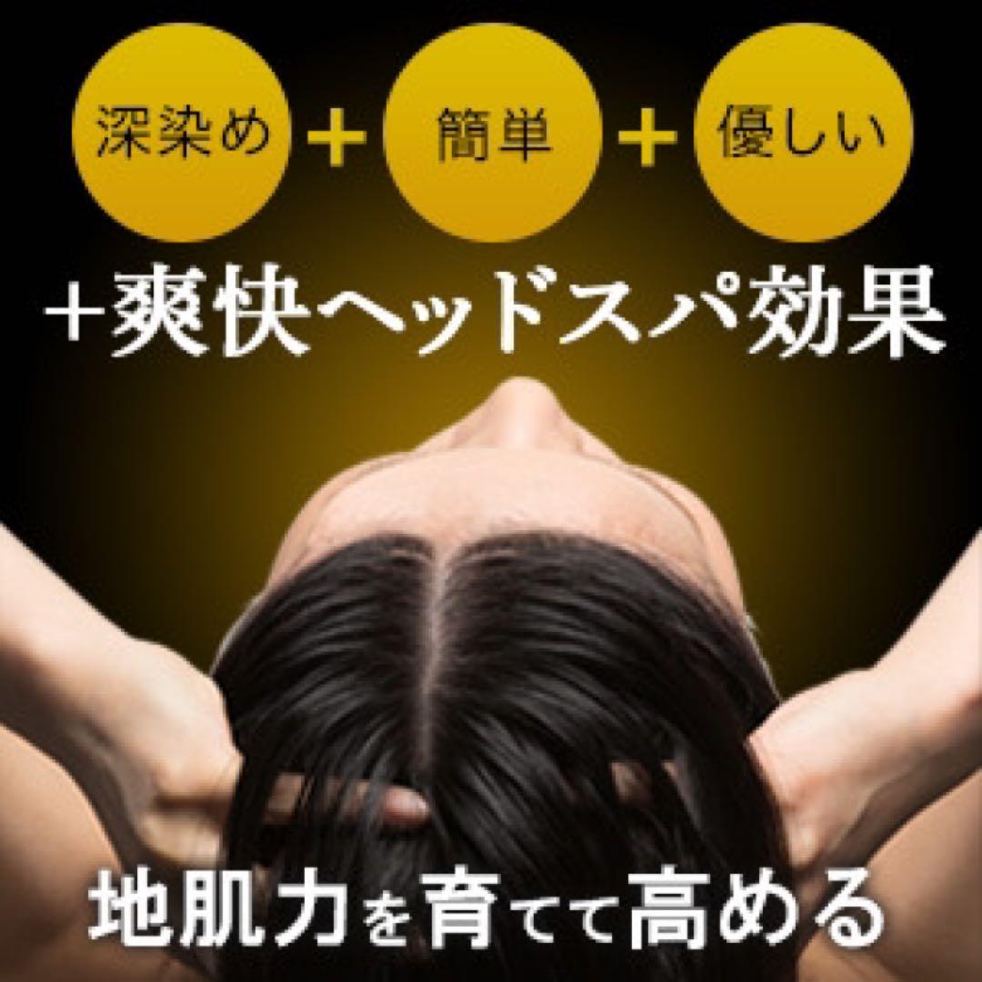 【3本セット】レフィーネ ヘッドスパ トリートメントカラー