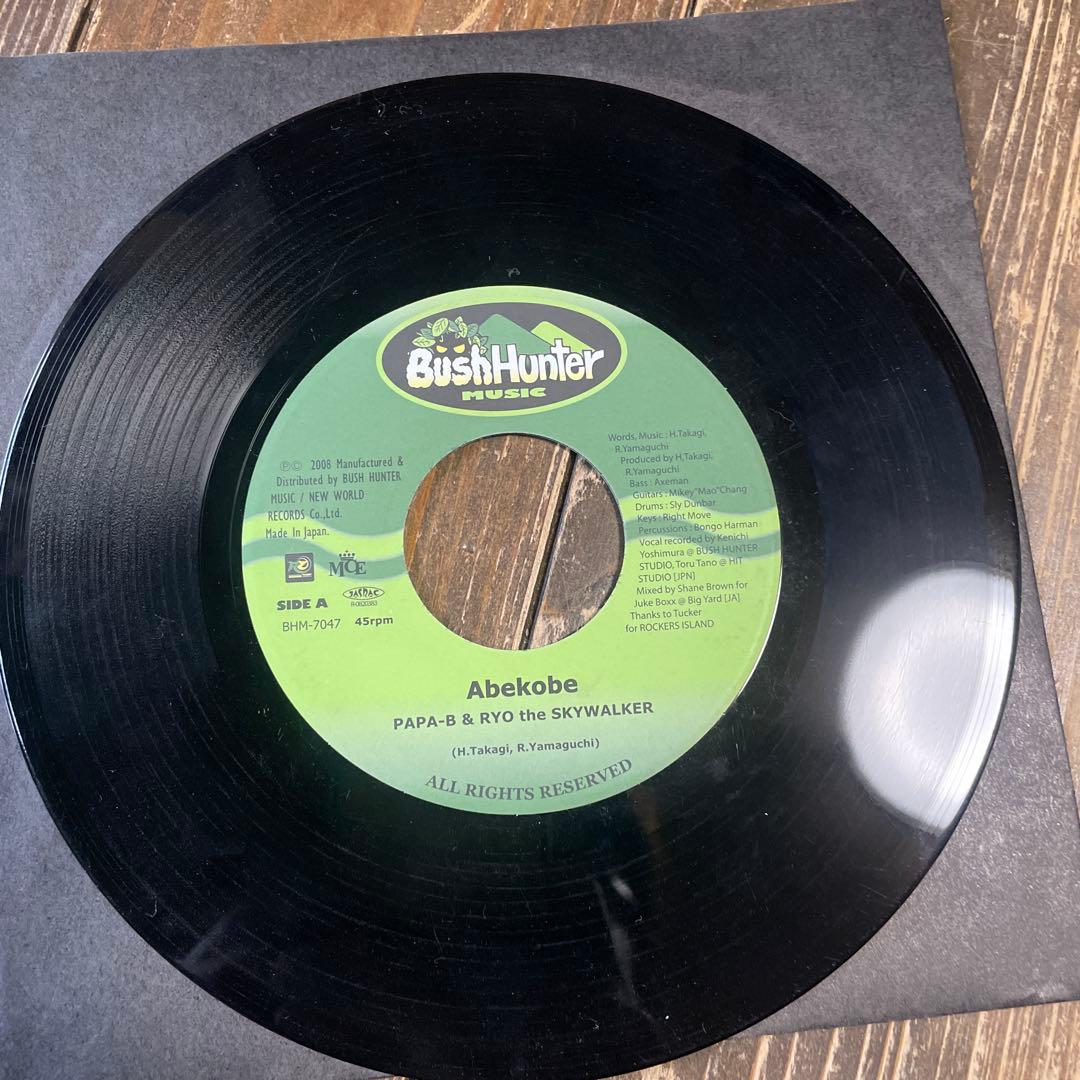 ジャパレゲ　RYO THE SKYWALKER レコード4枚セット