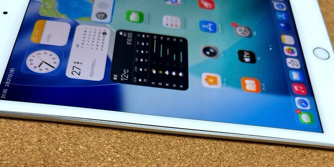 iPad mini5 第5世代 64GB (40) 91%