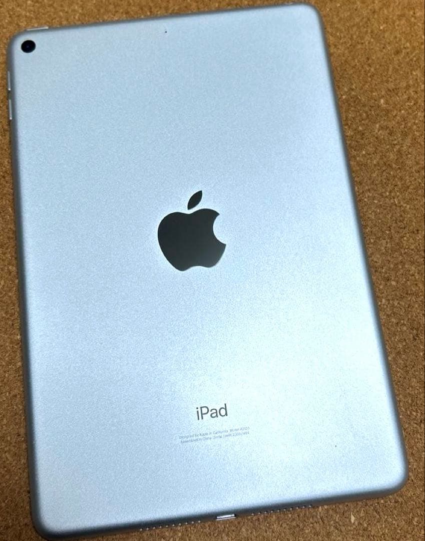 iPad mini5 第5世代 64GB (40) 91%
