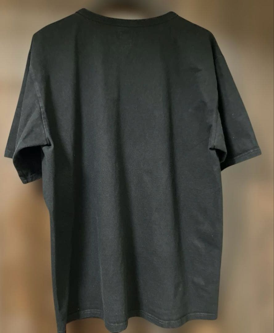 JELADO ジェラード TEXAS AGGEIS Tee 44