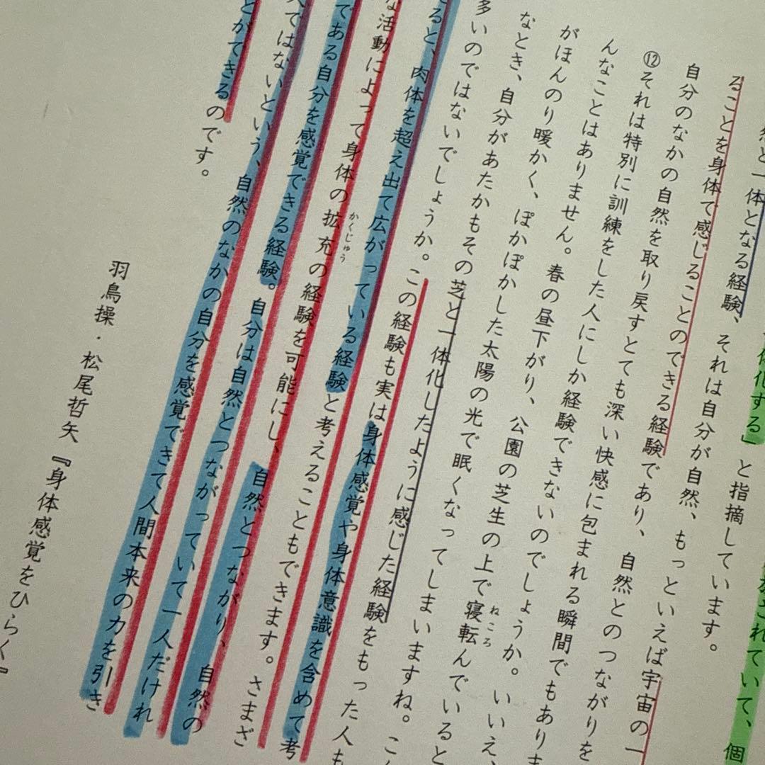 知力の背骨