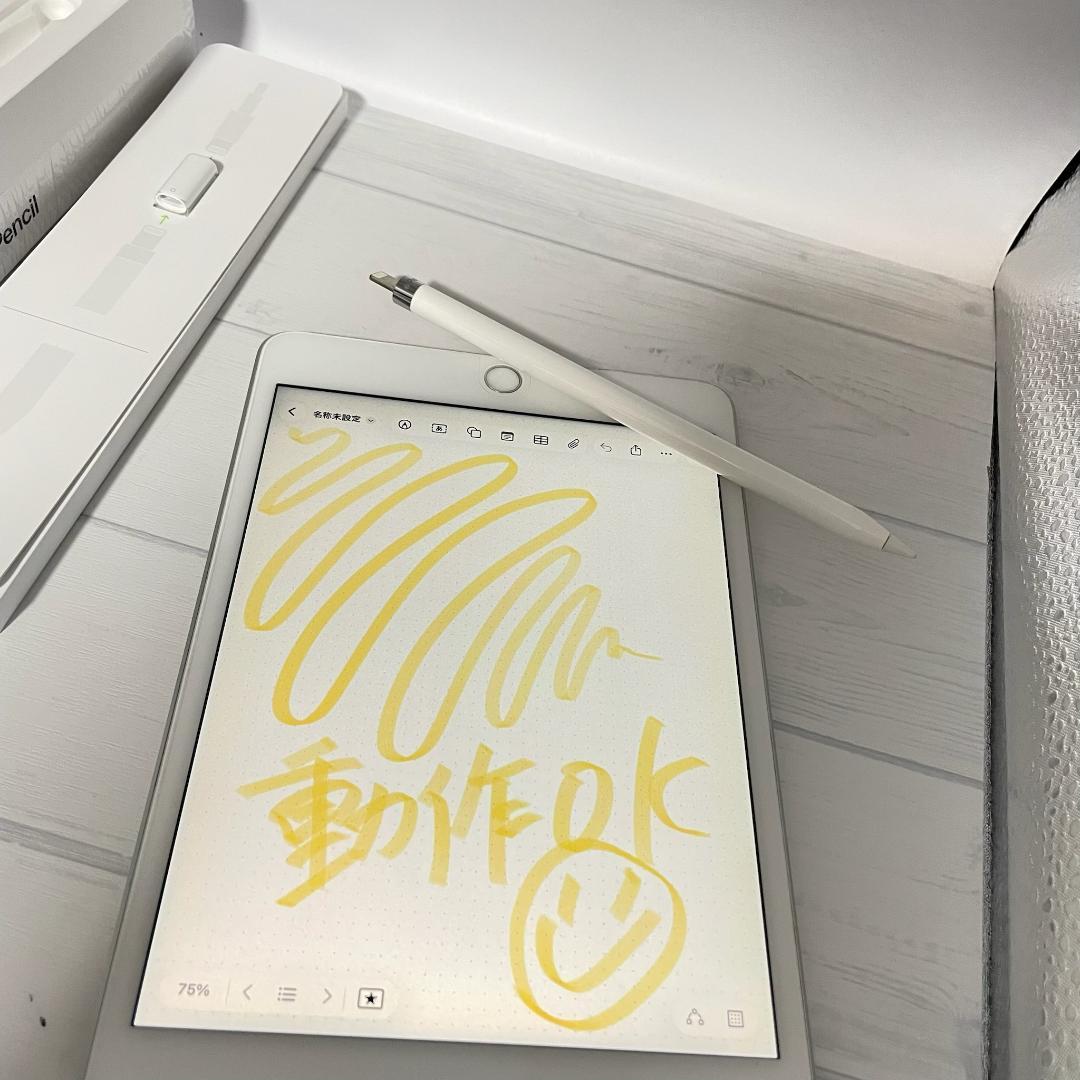 動作確認済【美品】Apple Pencil 第一世代 付属品＋カバーセット