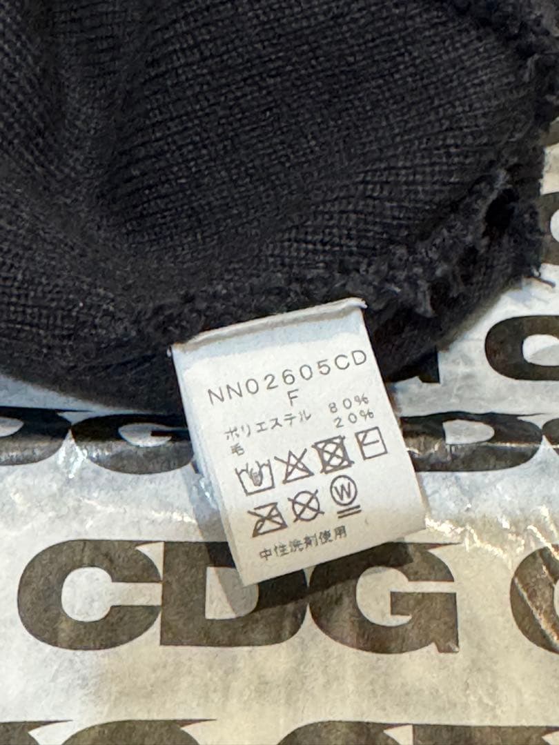 ノースフェイス　ギャルソン　ビーニー　THE NORTH FACE cdg