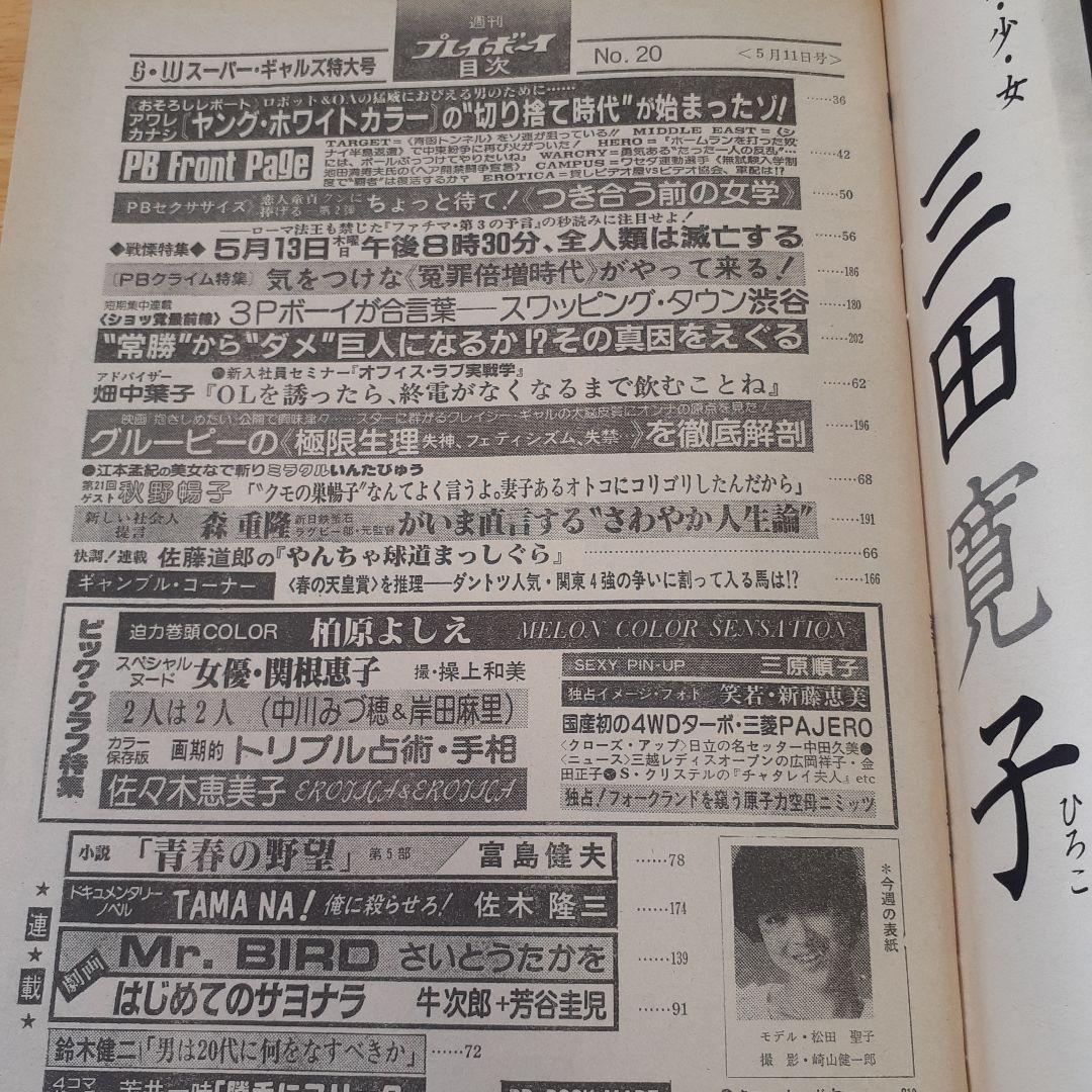 週刊プレイボーイ 9冊セット