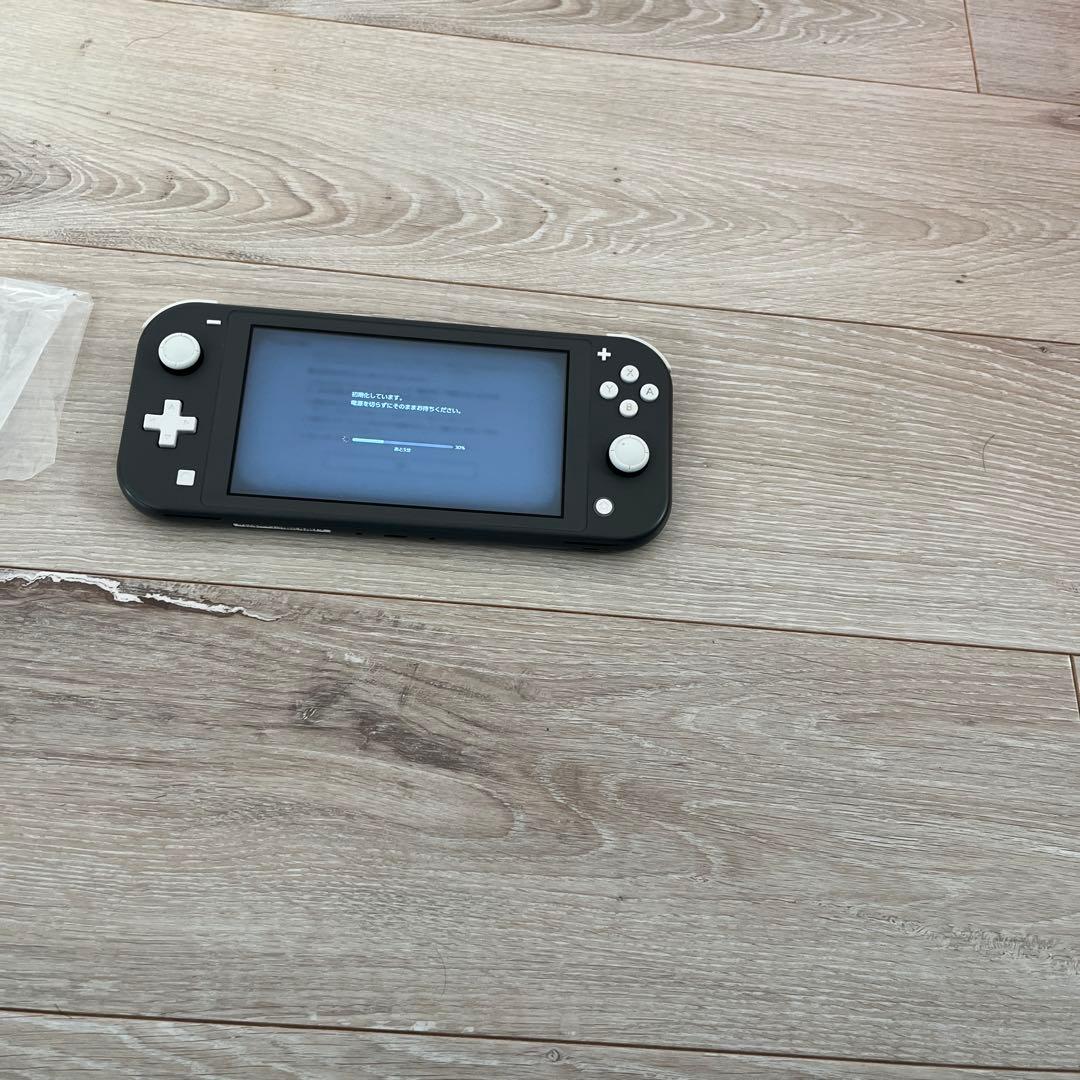 Nintendo Switchライト 本体のみ