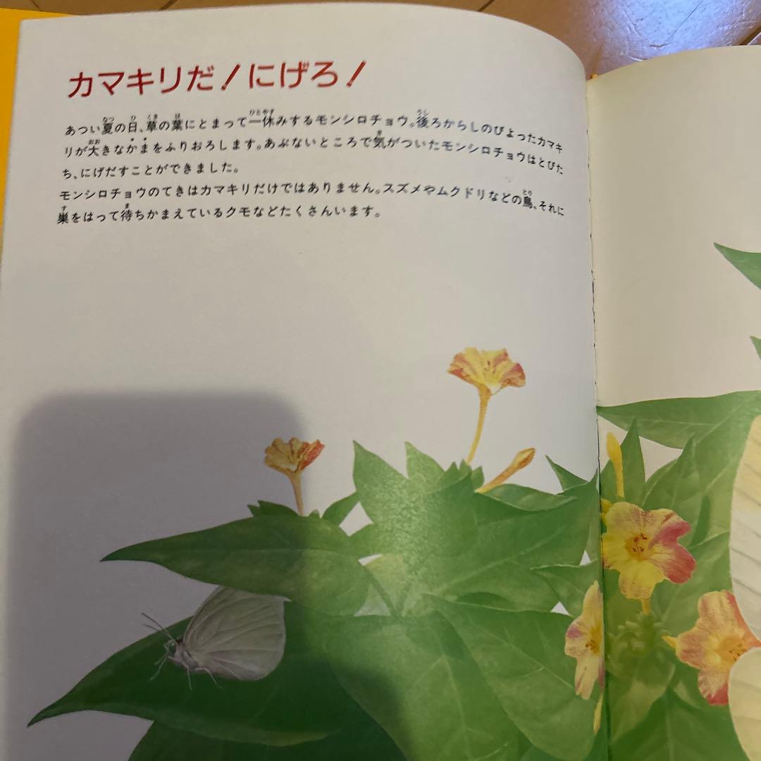 【レア】ニュートンジュニアブックス全20巻