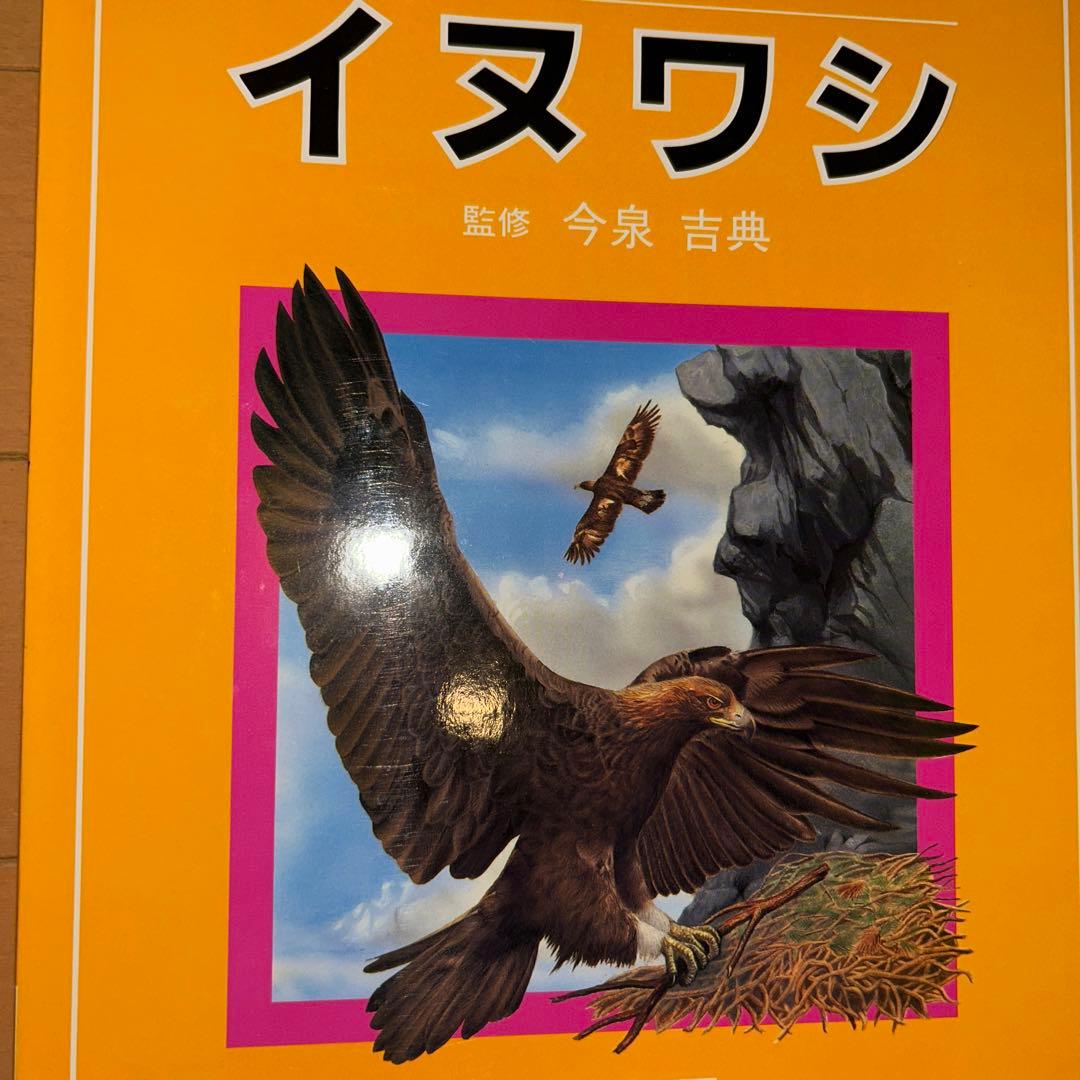 【レア】ニュートンジュニアブックス全20巻