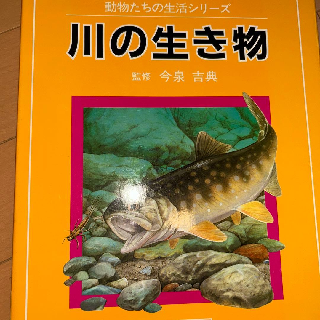 【レア】ニュートンジュニアブックス全20巻