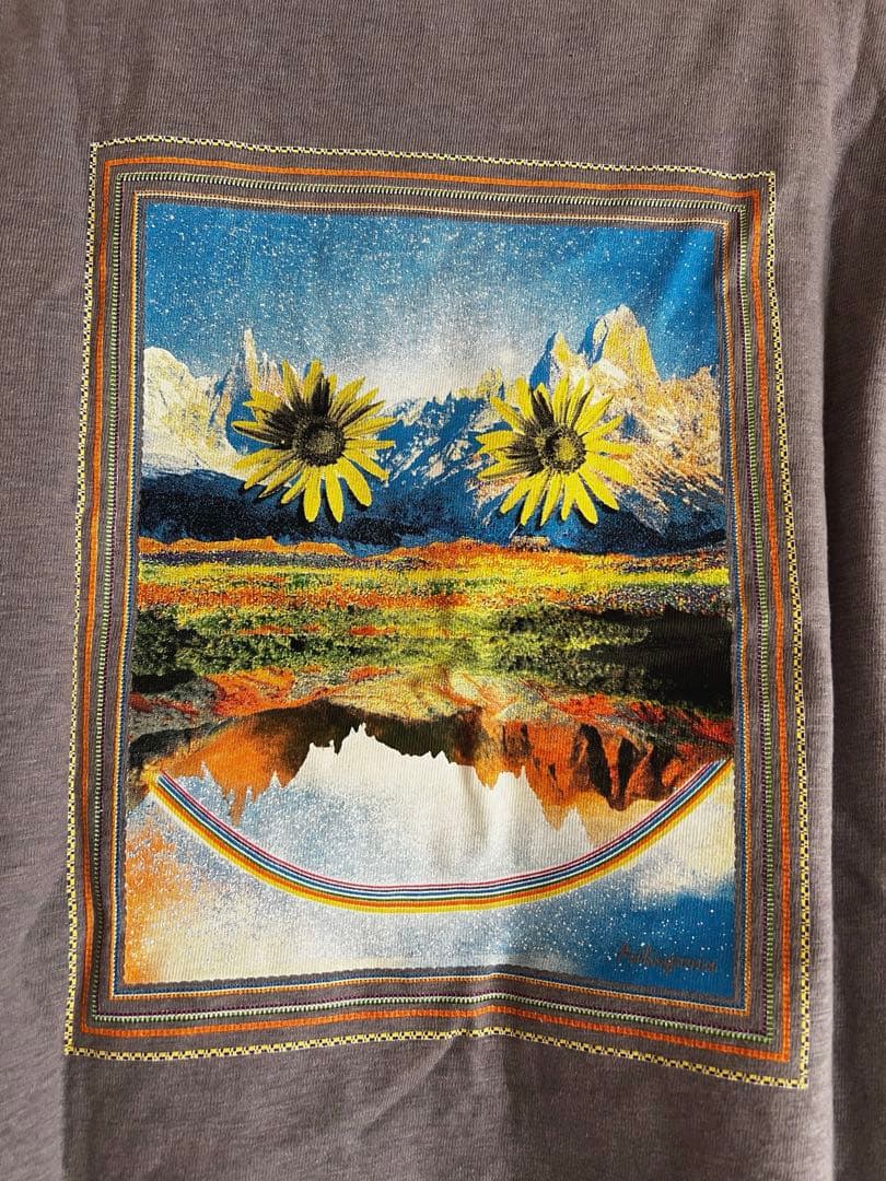 PATAGONIA パタゴニア WOMENS T-SHIRT