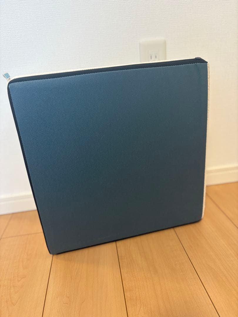 【美品 】サンテプラス フレックスクッション