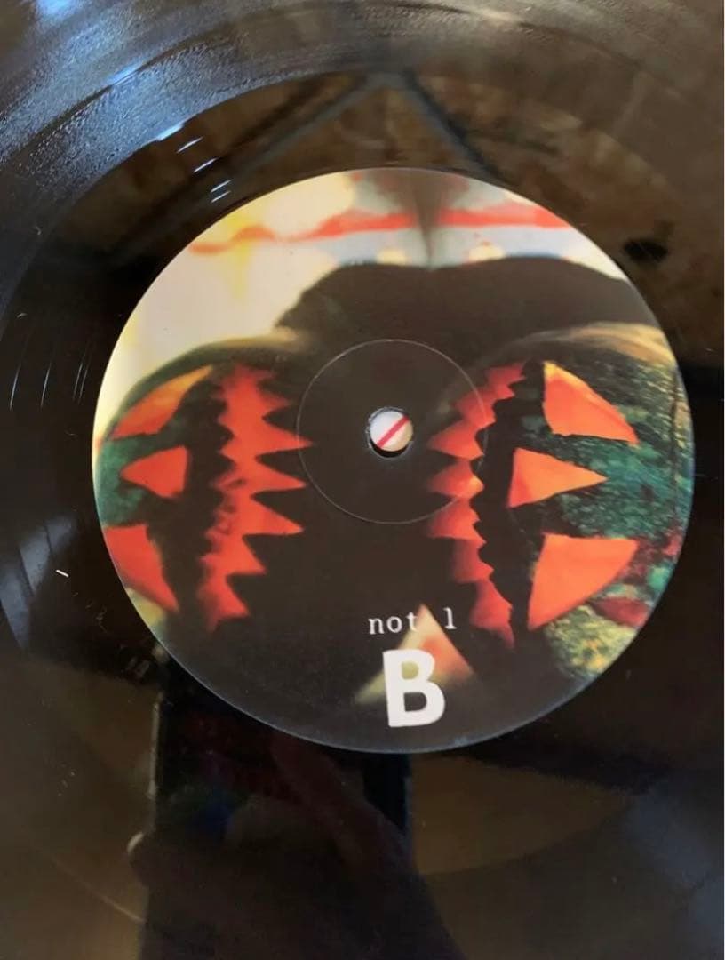 Sonic Youth Walls Have Ears レコード