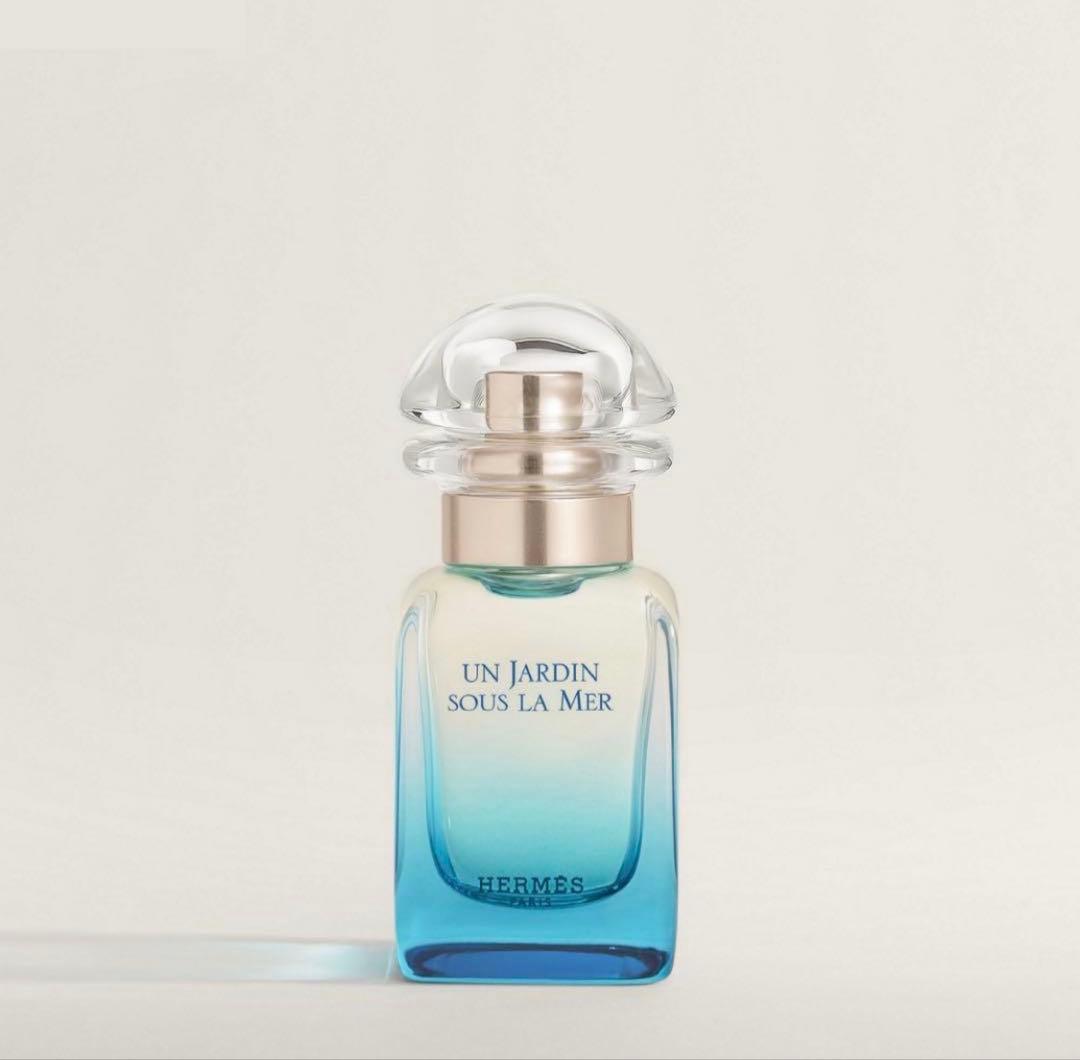 HERMES 珊瑚礁の庭　50ミリ