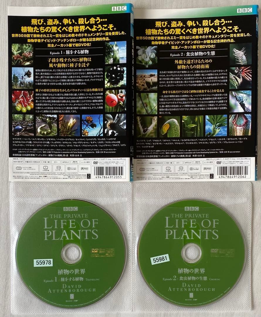 BBC プライベート・ライフ・オブ・プランツ/植物の世界 DVD 全6巻セット