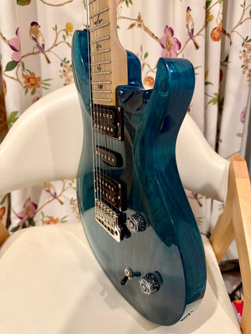 ギター se swamp ash special prs Paul Reed Smith