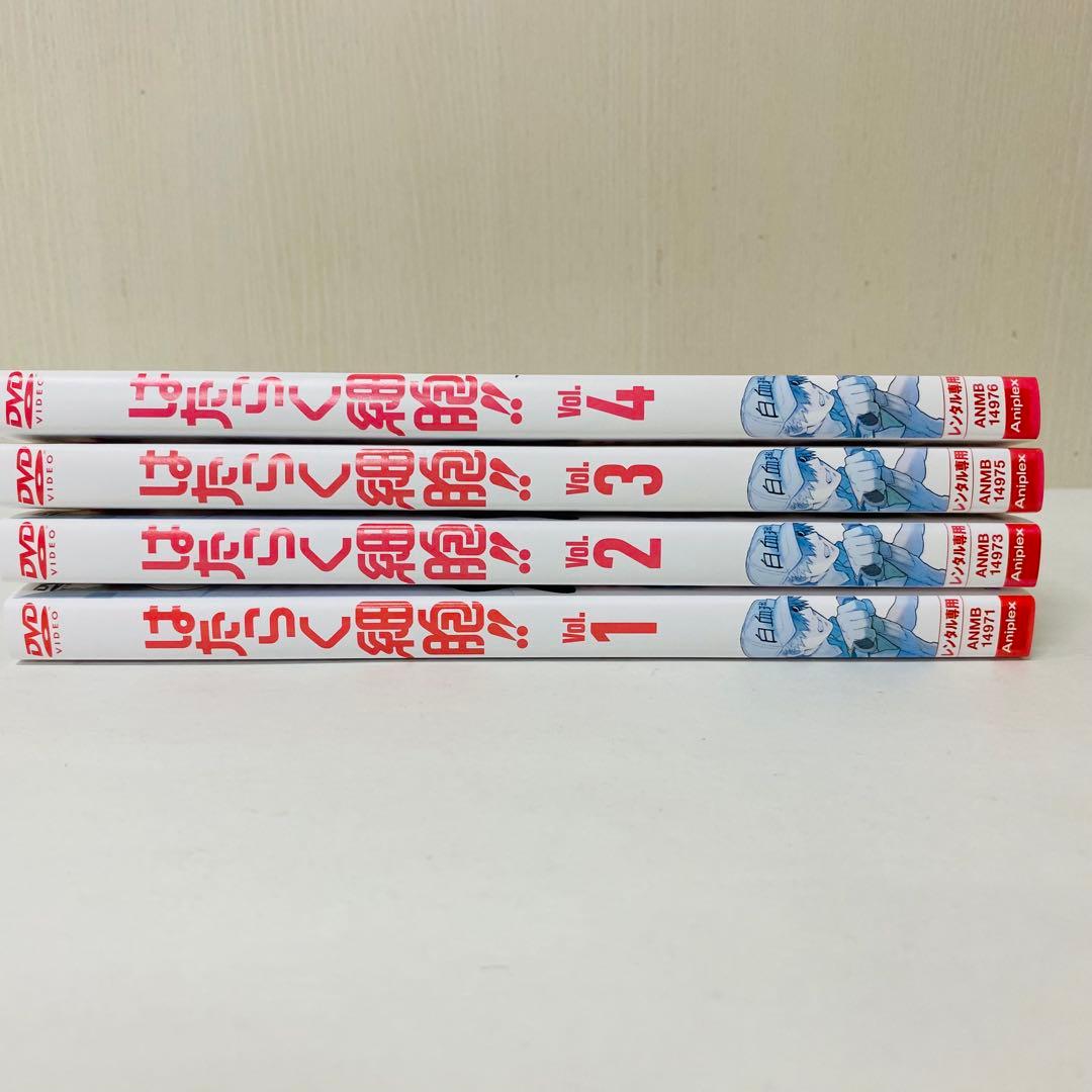 はたらく細胞!!　（2期）DVD　全4巻セット　全巻セット　働く細胞　シーズン2