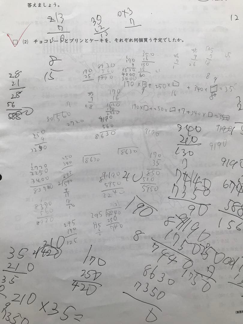 しらたまさん専用　日能研　後期分学習力育成テスト、冬期講習テスト10回分