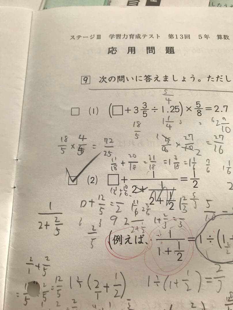 しらたまさん専用　日能研　後期分学習力育成テスト、冬期講習テスト10回分