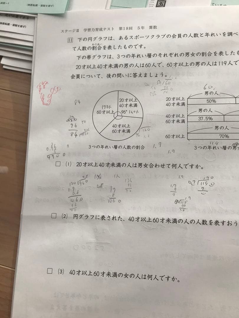 しらたまさん専用　日能研　後期分学習力育成テスト、冬期講習テスト10回分