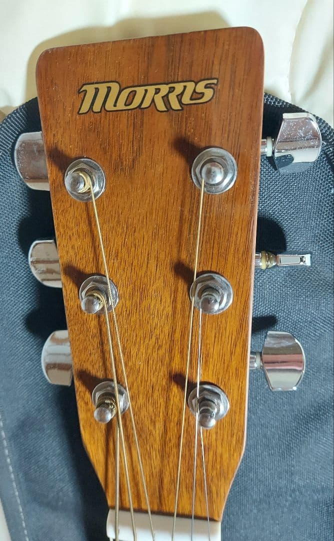 Morris アコースティックギター サンバースト【MF-306 RBS】