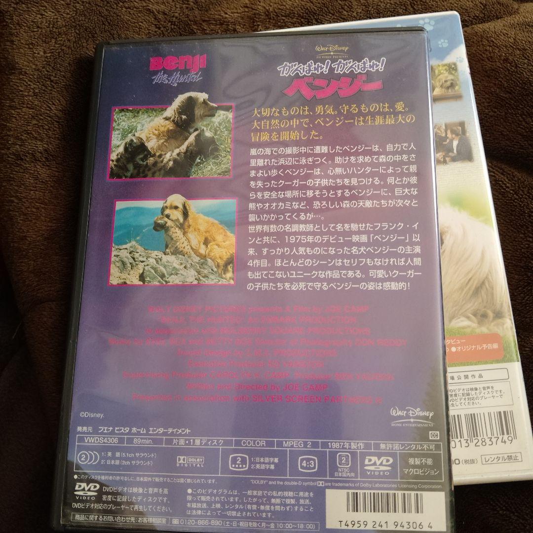 ベンジー　ラッシー　DVD