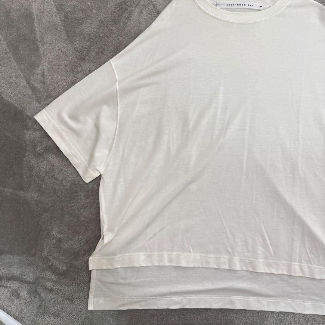 Noble別注 コグザビッグスモーク DELTA T-SHIRT オフホワイト