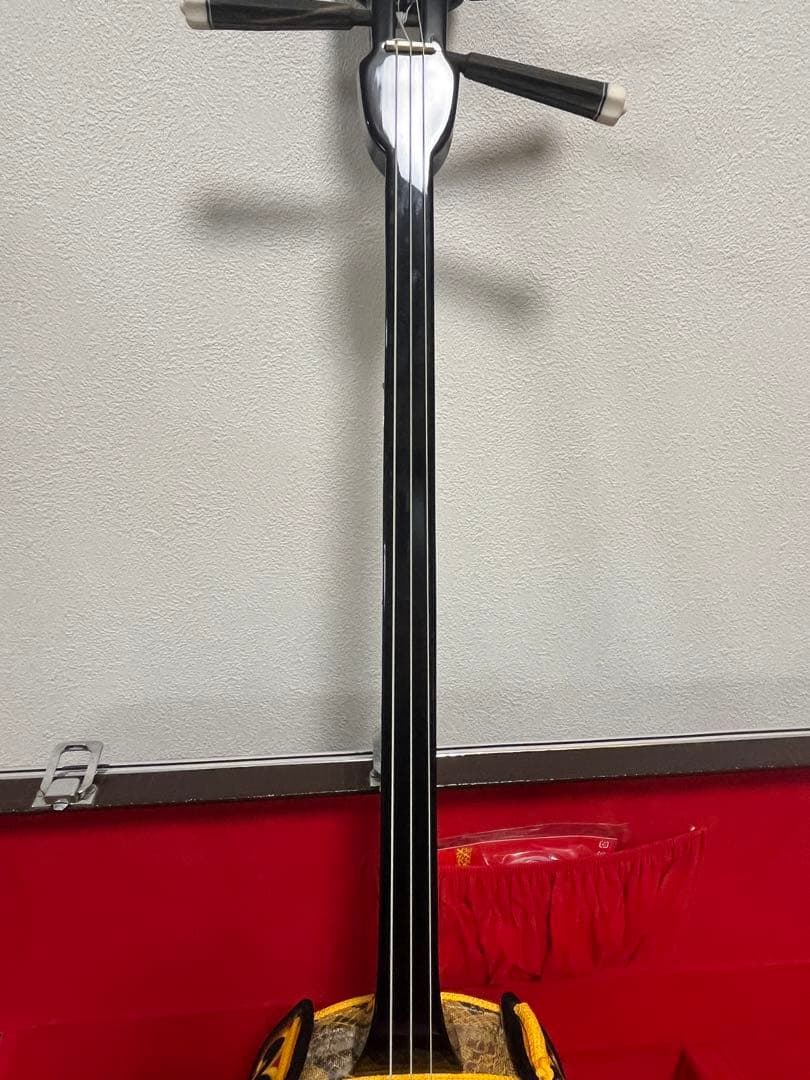 三味線 和楽器 沖縄 蛇柄　ハードケース付