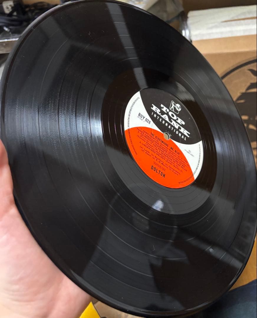 超希少 オリジナル盤 THE FLEETWOODS Mr Blue LPレコード