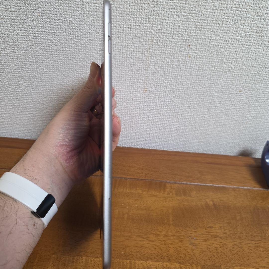 Apple iPad mini4 本体