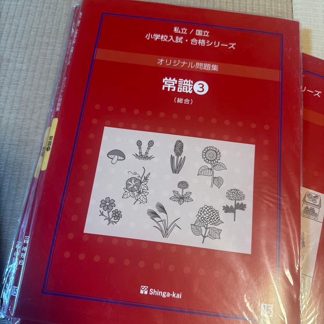 伸芽会　新版オリジナル問題集 小学校入試シリーズ 13冊セット　年中内容対応