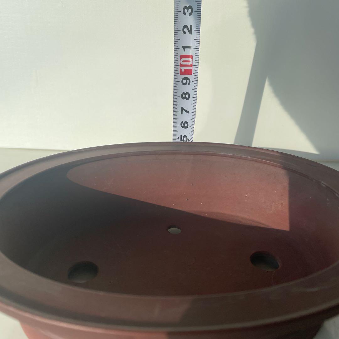 盆栽鉢　常滑焼　美芸