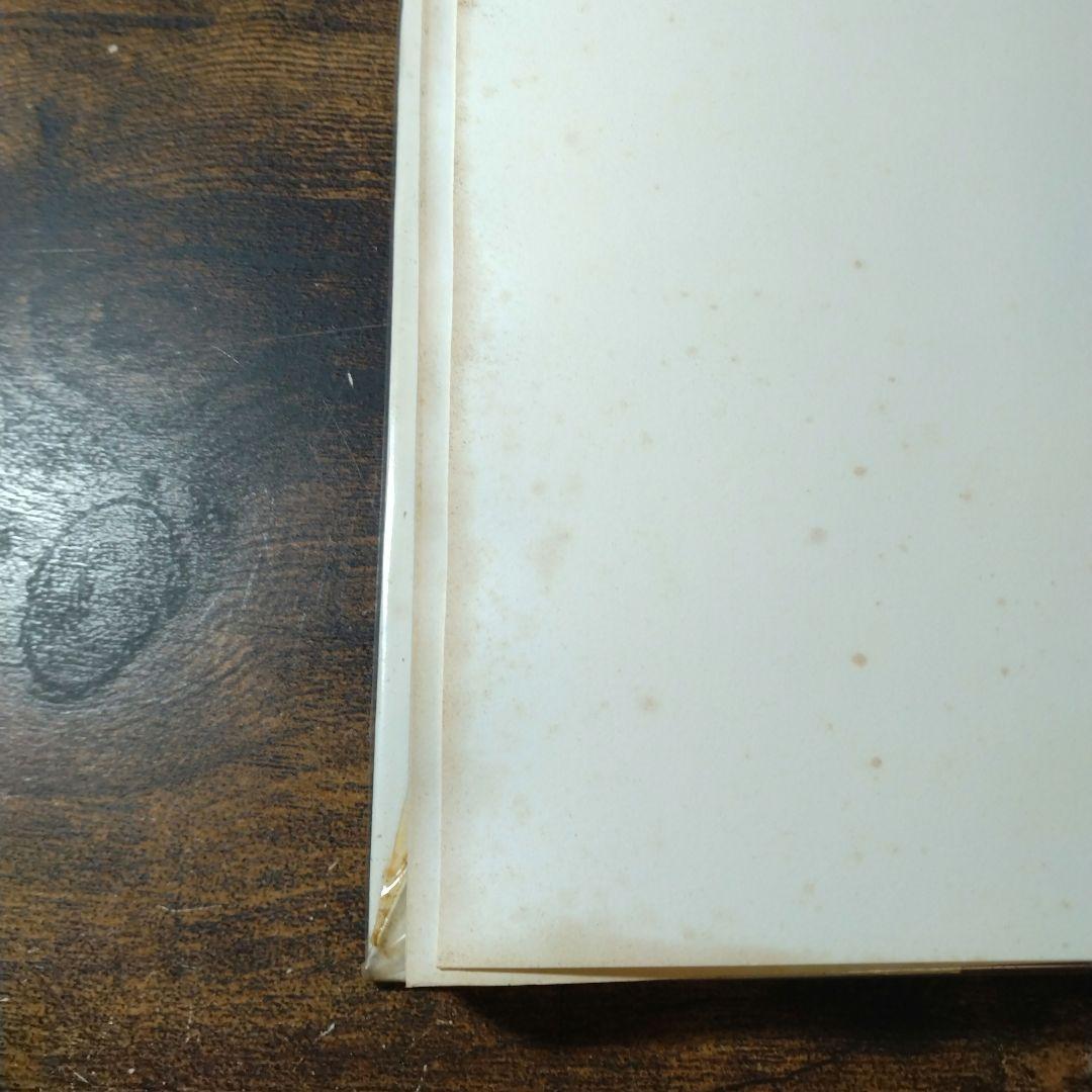 【閲覧注意】LOOKING AT DEATH 洋書 グロテスク