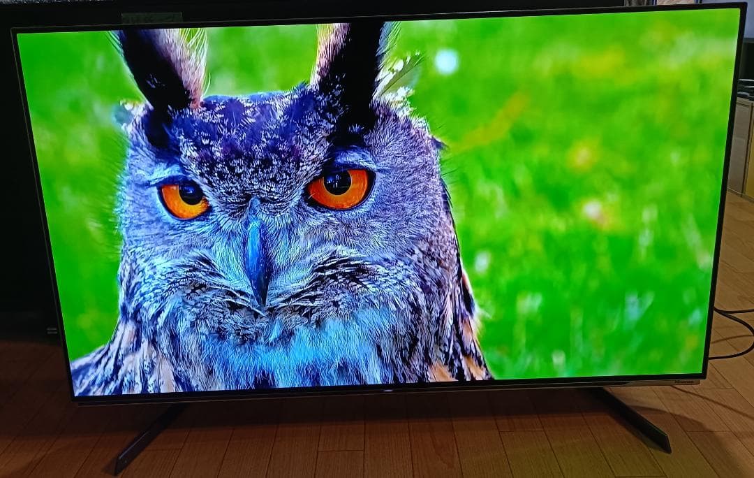 値下げ‼️21年製 美品 Hisense 48V型48X8F 4K有機EL