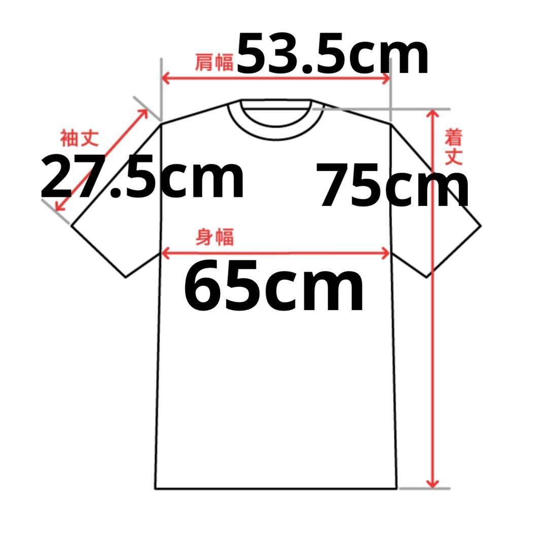 洗練されたデザイン　DIESEL T-ADJUST-V2 A19971 3XL