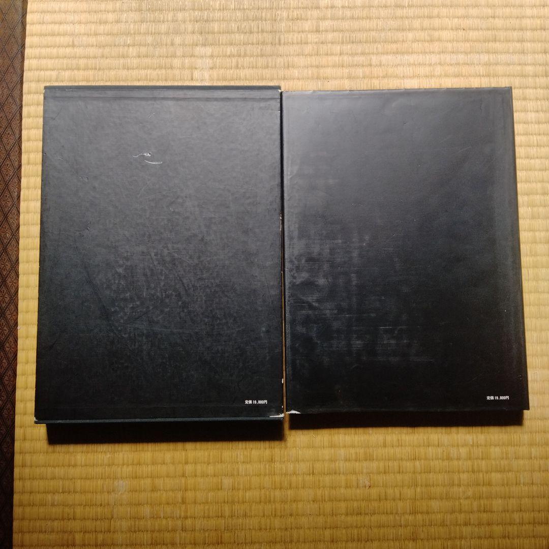 日本刺青芸術 彫芳 第2巻