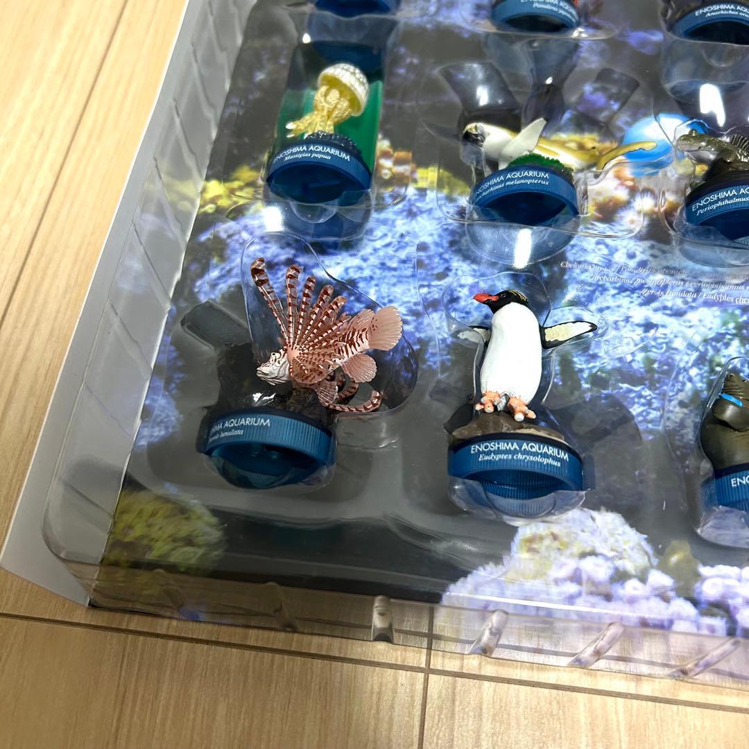 【希少・全18種】新江ノ島水族館 立体生物図録 コレクションボックス 海洋堂