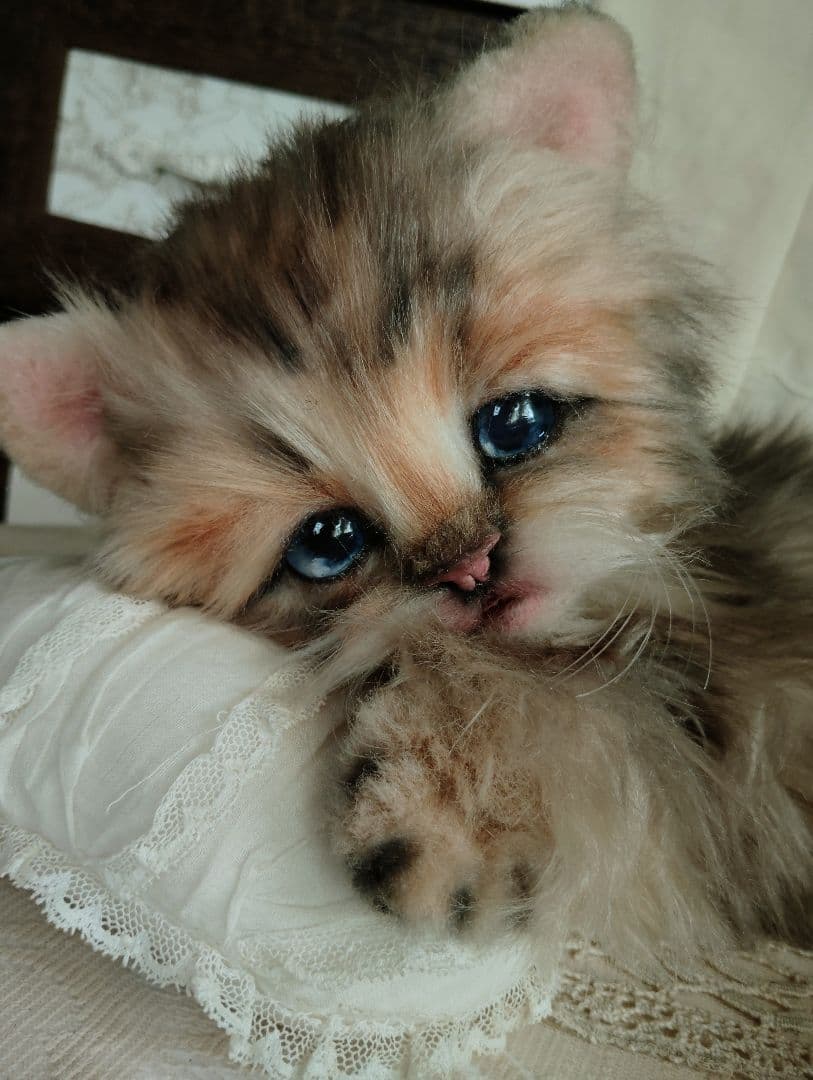 リアルサイズ♡チンチラゴールデン子猫♡ラブちゃん♡アートドール♡ぬいぐるみ♡