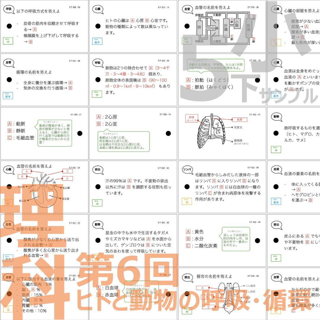 中学受験 暗記カード【理科 生物 全セット】小学5年生が最適