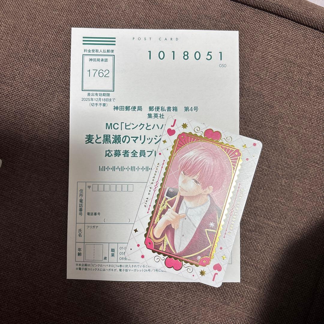 ピンクとバハネロ 全14巻セット ポストカード付き