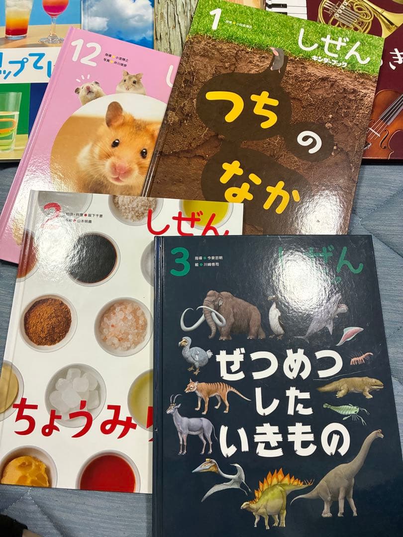 キンダーブック　しぜん　24冊　2020年度 2023年度　美品