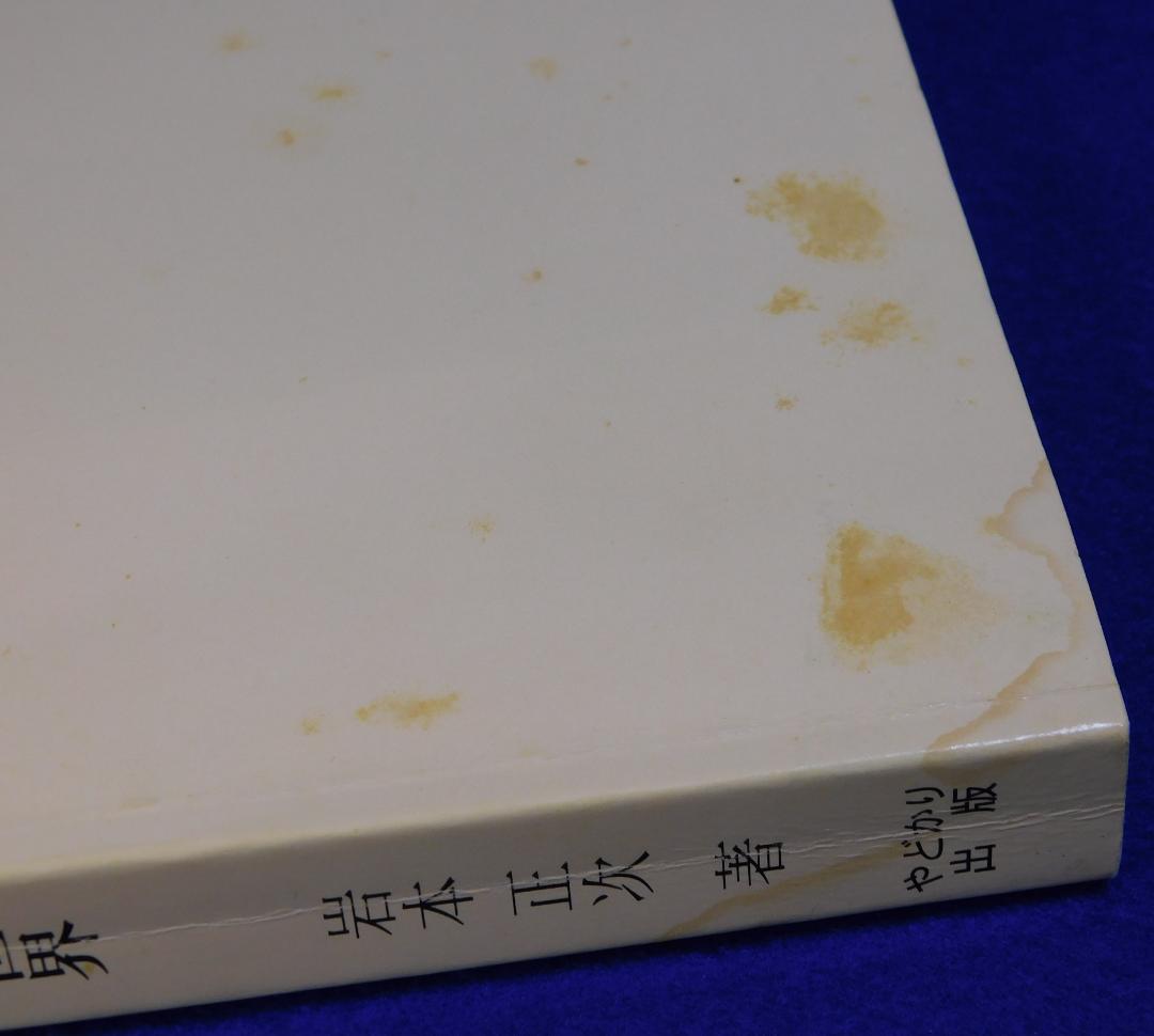 意識生活学の提唱　岩本正次の世界　精神医学ソーシャルワーク叢書３