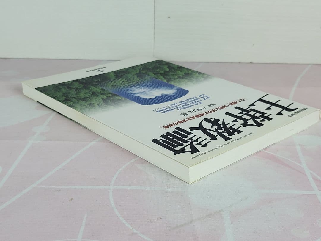 主幹教諭 : その機能・役割と学校の組織運営体制の改善