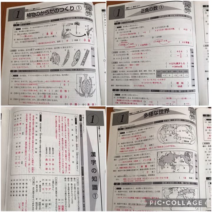 ベストパートナー　要点指導書