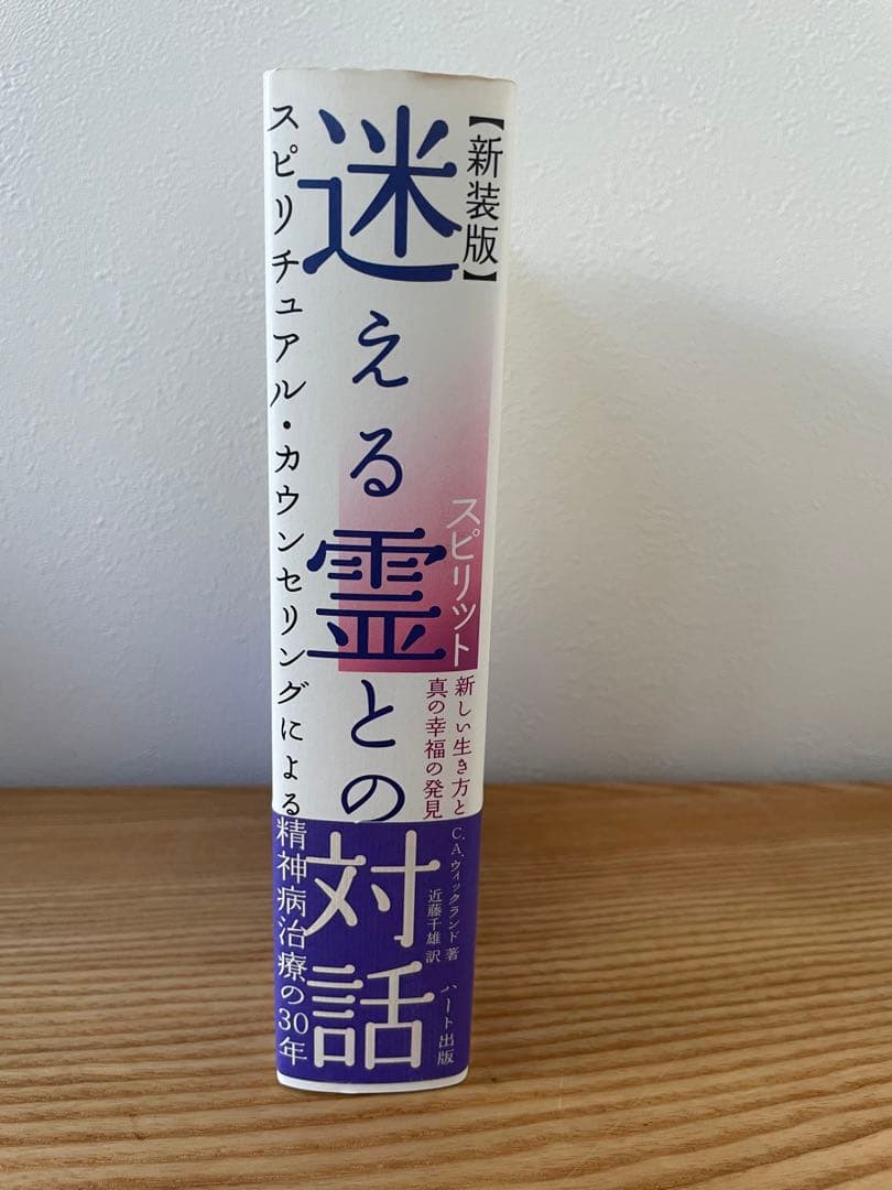 迷える霊との対話 : スピリチュアル・カウンセリングによる精神病治療の30年